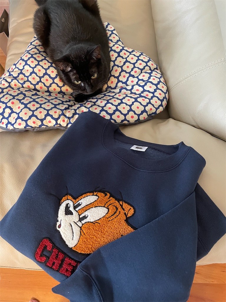 f:id:hiraryo0201:20230924154548j:image