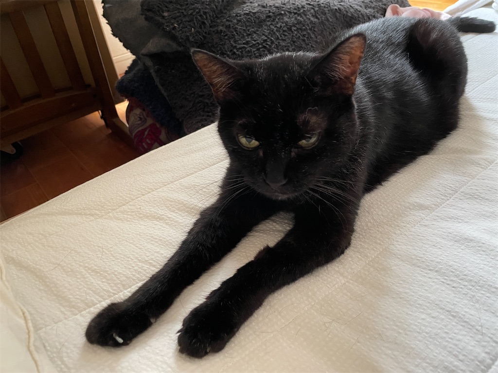 f:id:hiraryo0201:20230924154609j:image