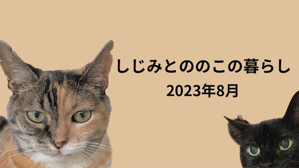 f:id:hiraryo0201:20230930170921j:image