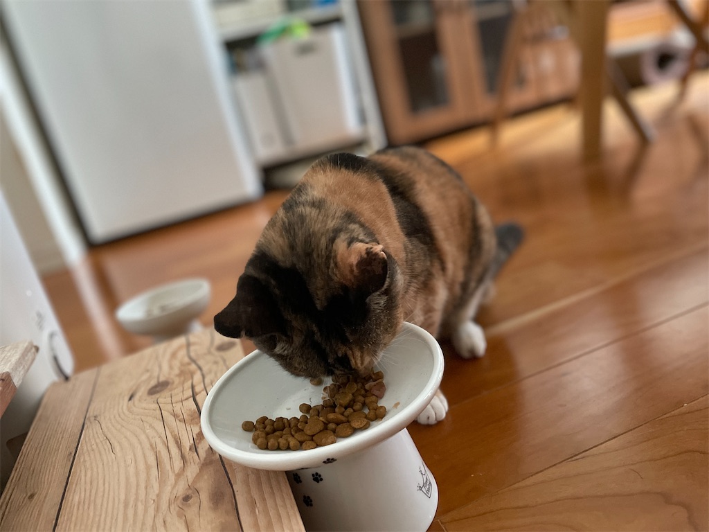 f:id:hiraryo0201:20231008093651j:image