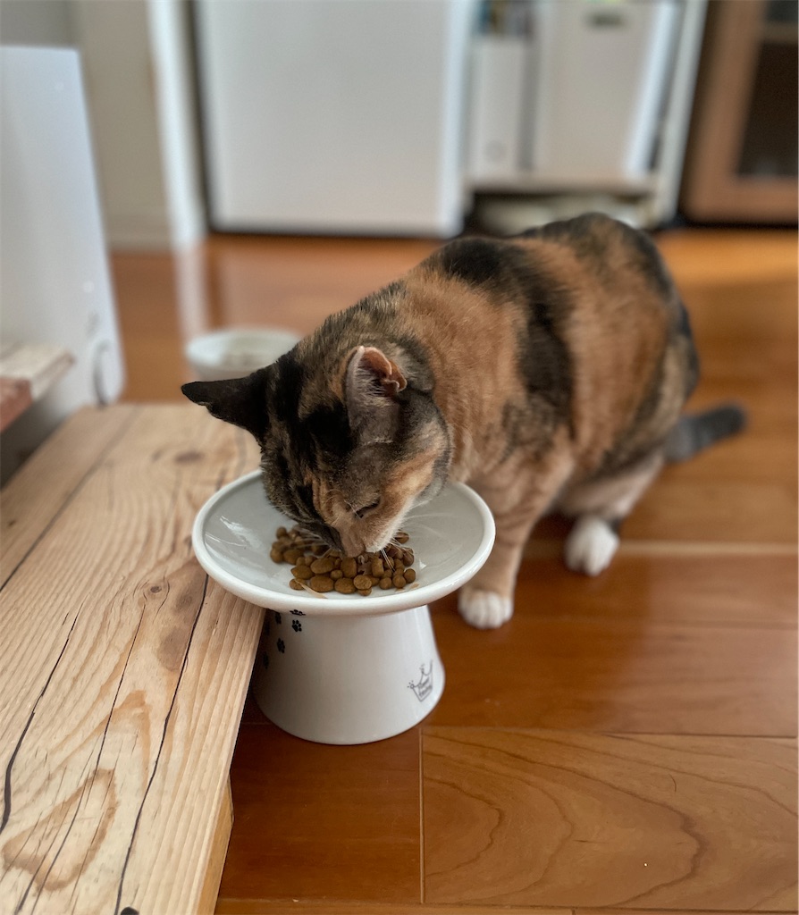 f:id:hiraryo0201:20231008093710j:image