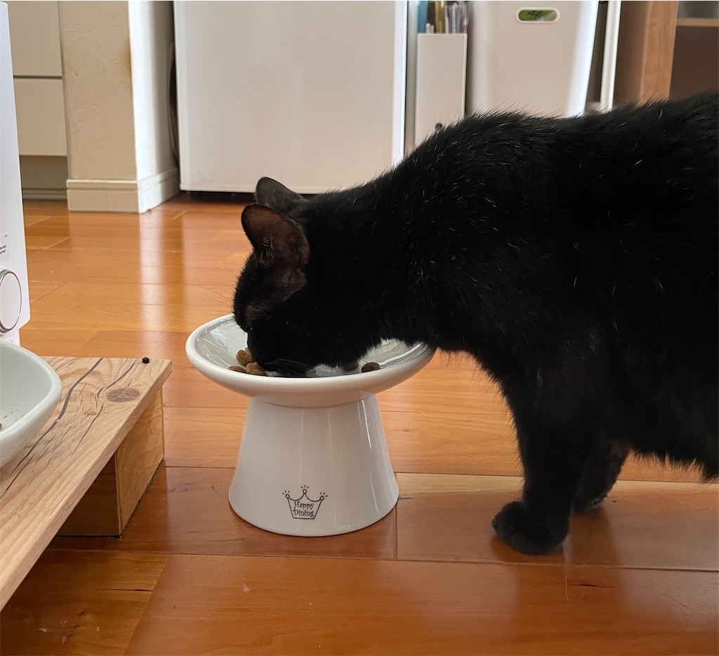 f:id:hiraryo0201:20231008094623j:image