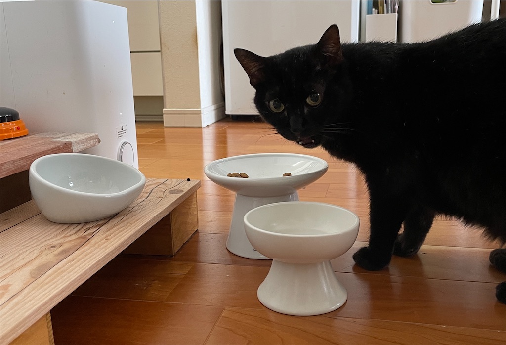 f:id:hiraryo0201:20231008094849j:image