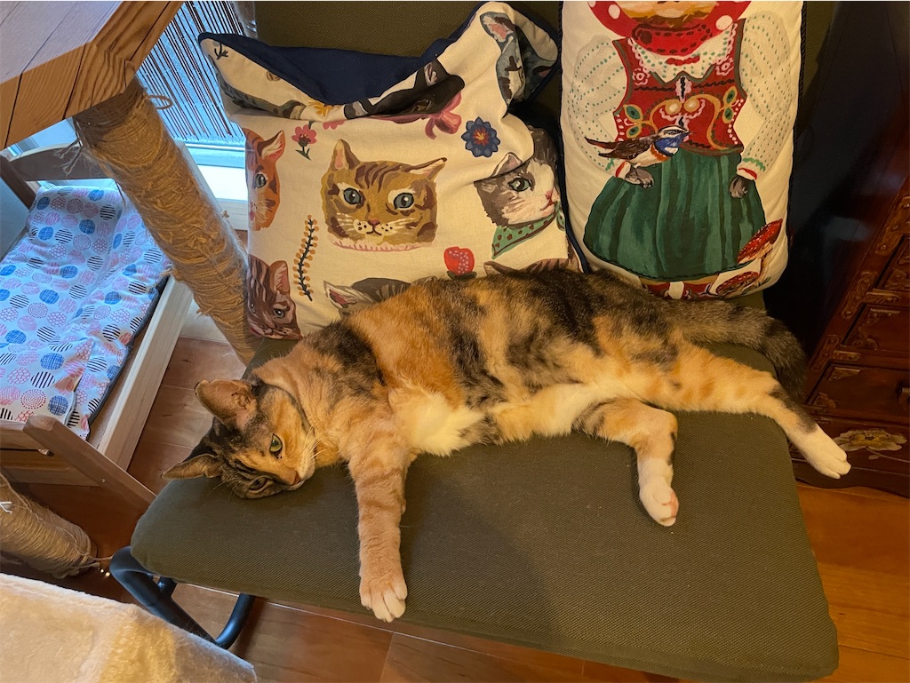 f:id:hiraryo0201:20231008203231j:image