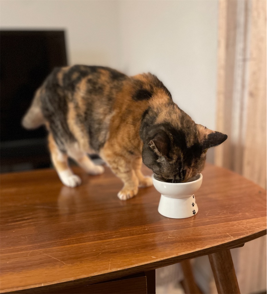 f:id:hiraryo0201:20231008203320j:image