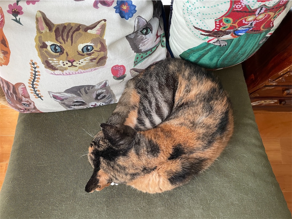 f:id:hiraryo0201:20231008203825j:image