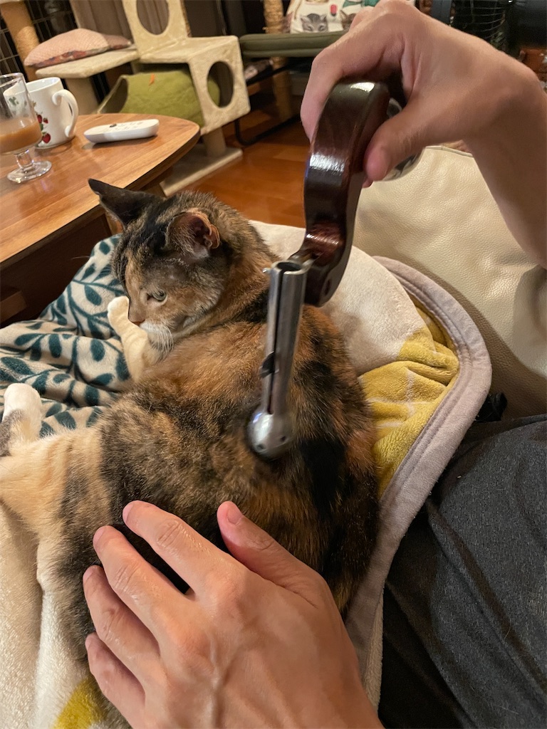 f:id:hiraryo0201:20231013201608j:image