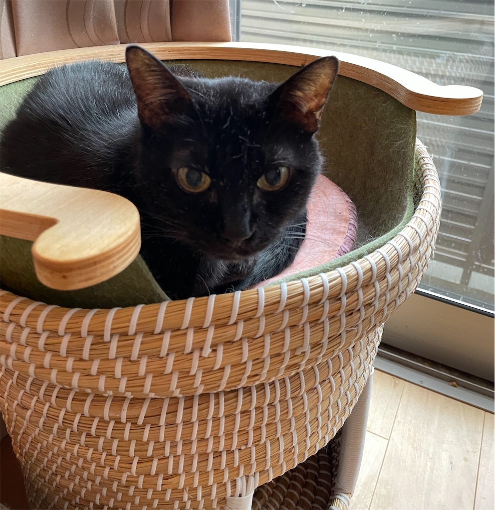 f:id:hiraryo0201:20231015220036j:image