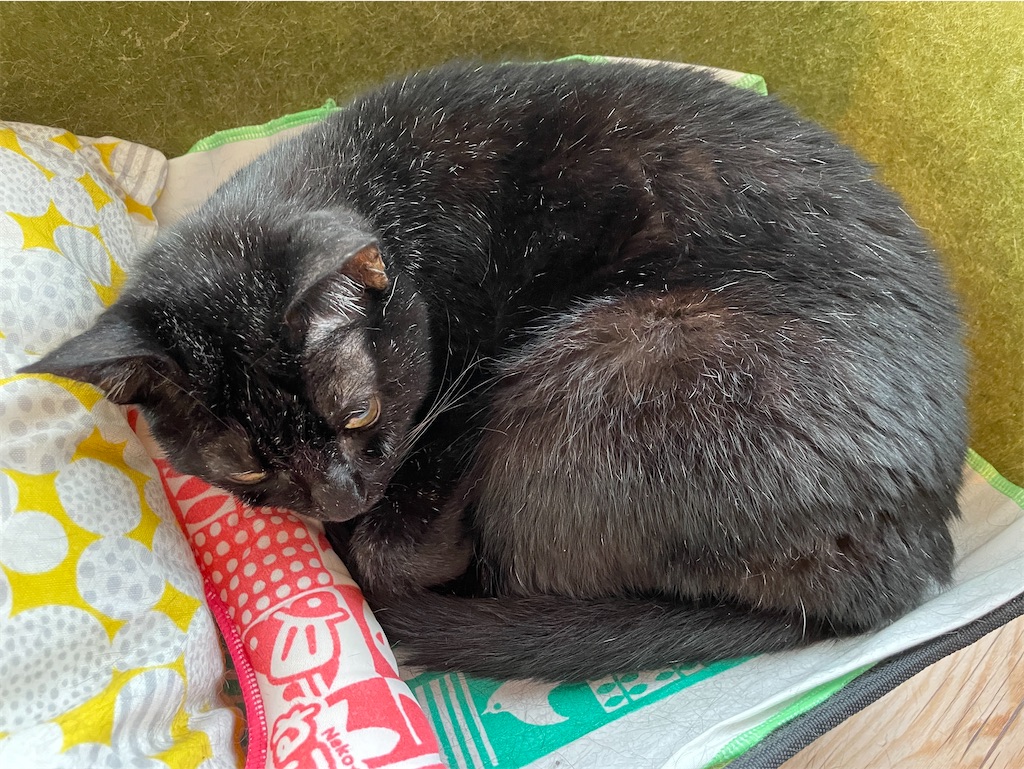 f:id:hiraryo0201:20231015220042j:image