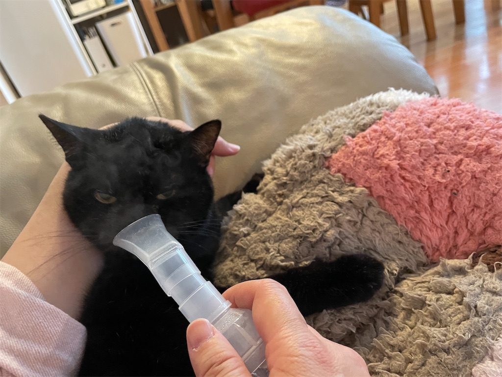 f:id:hiraryo0201:20231015220045j:image