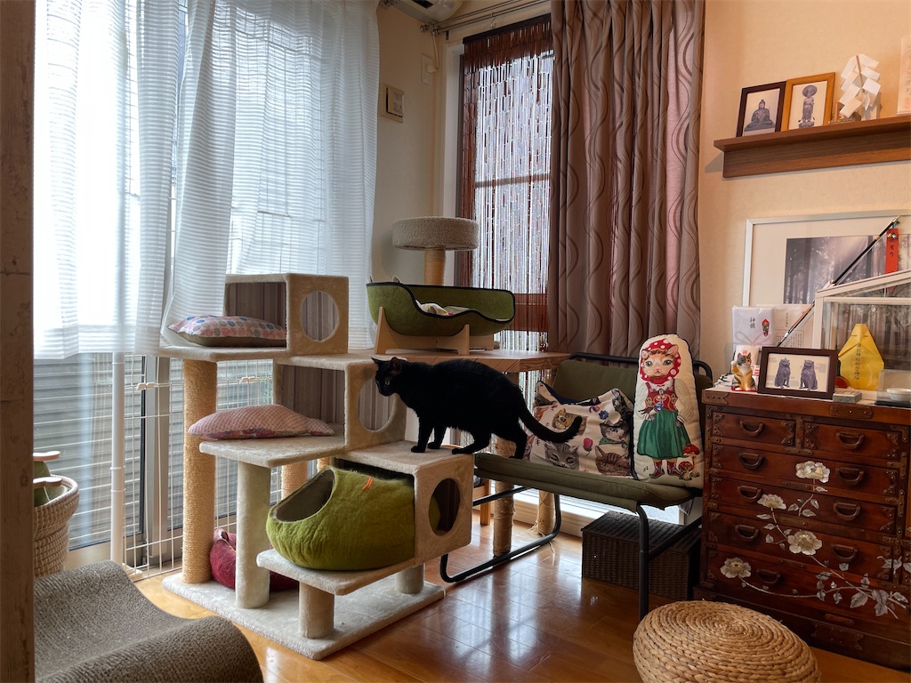 f:id:hiraryo0201:20231015220054j:image