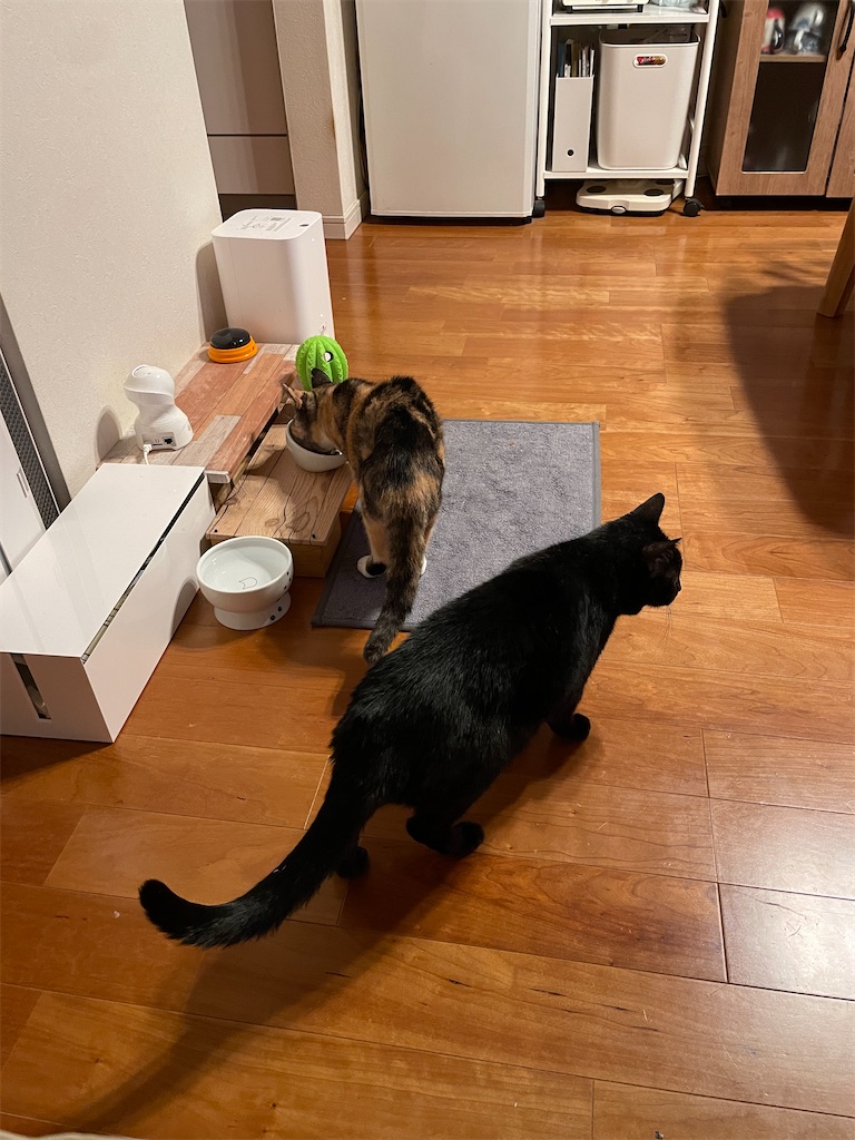 f:id:hiraryo0201:20231024004053j:image f:id:hiraryo0201:20231024004053j:image