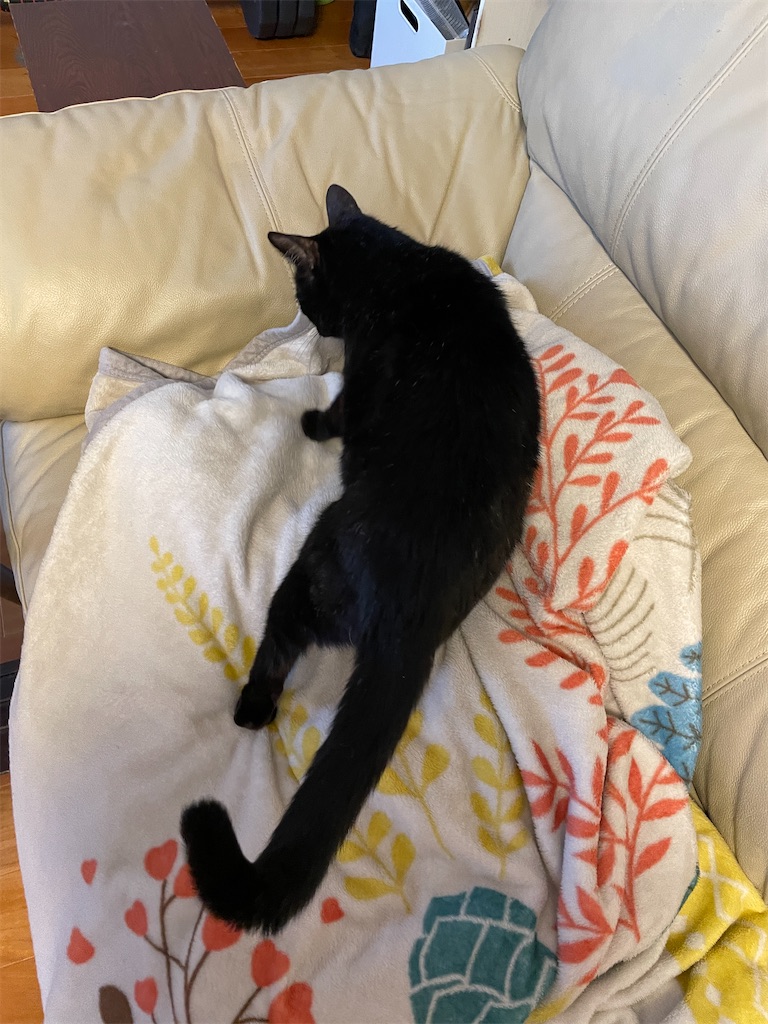 f:id:hiraryo0201:20231024004059j:image