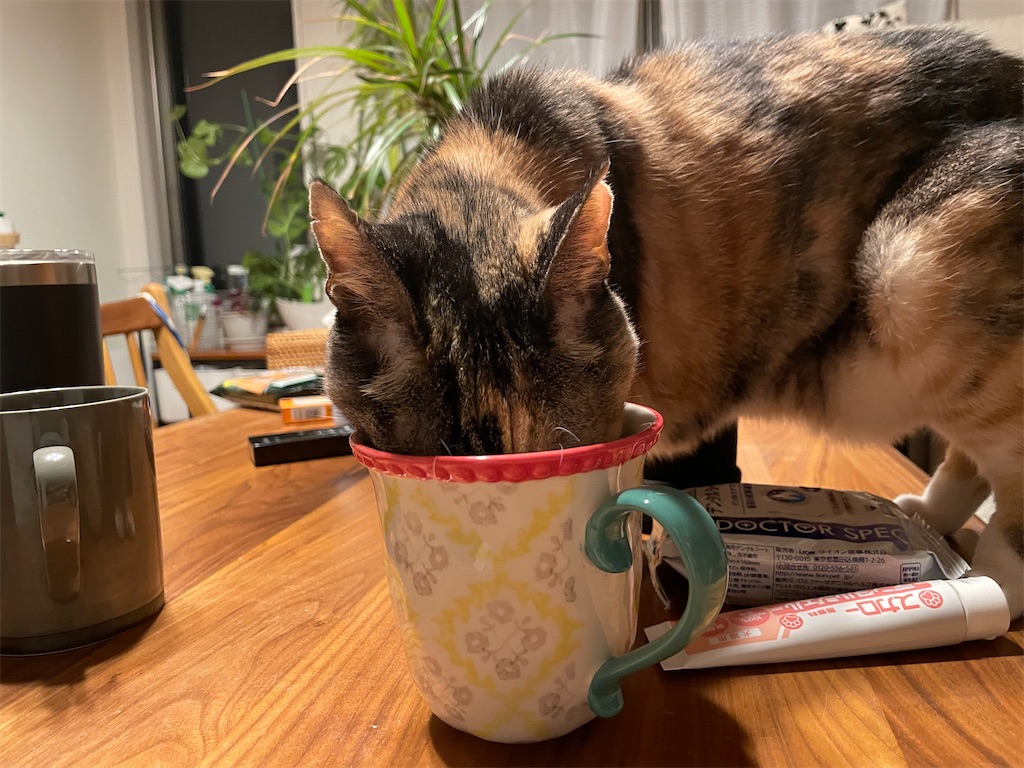 f:id:hiraryo0201:20231123154519j:image f:id:hiraryo0201:20231123154519j:image