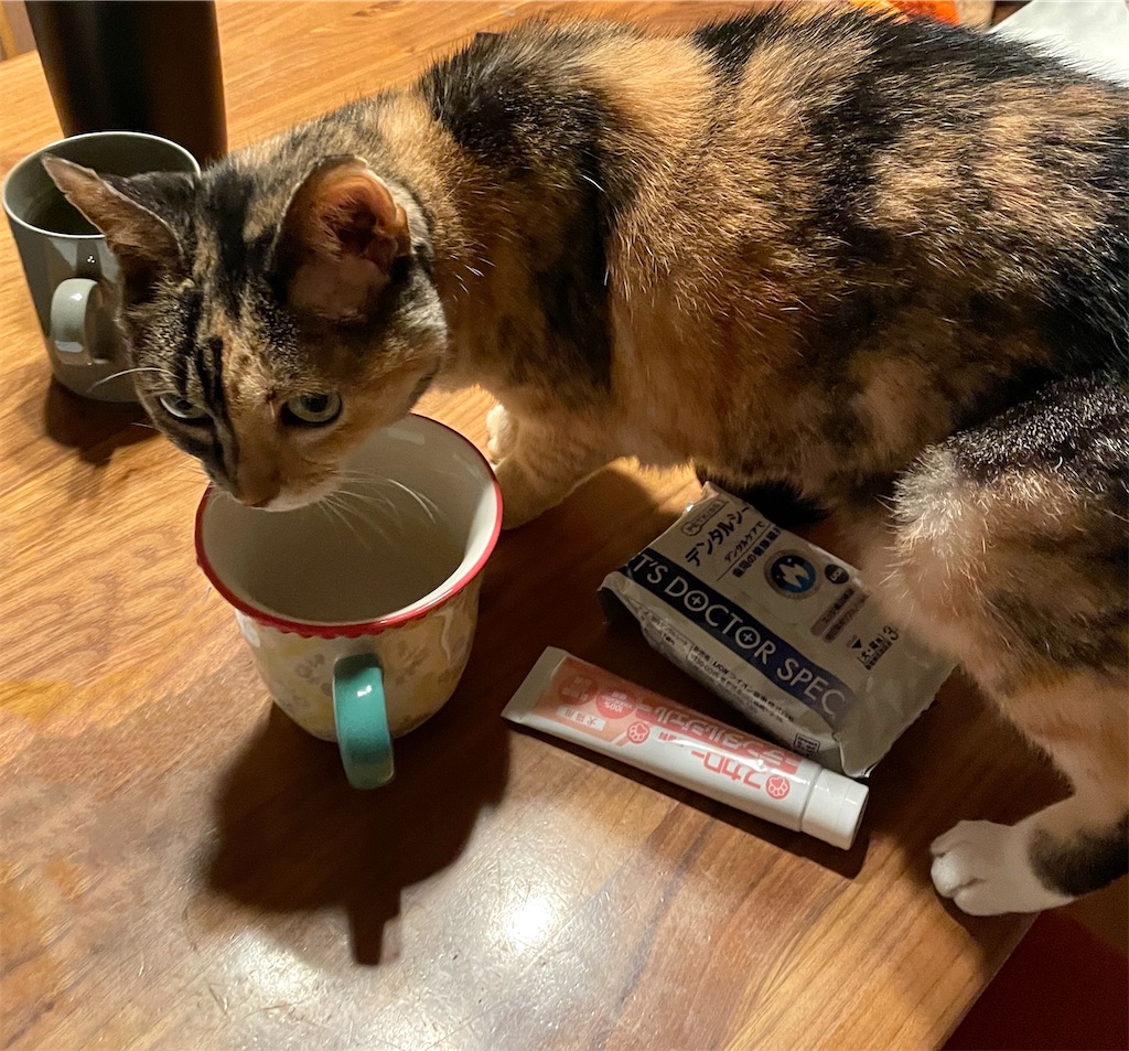 f:id:hiraryo0201:20231123154759j:image