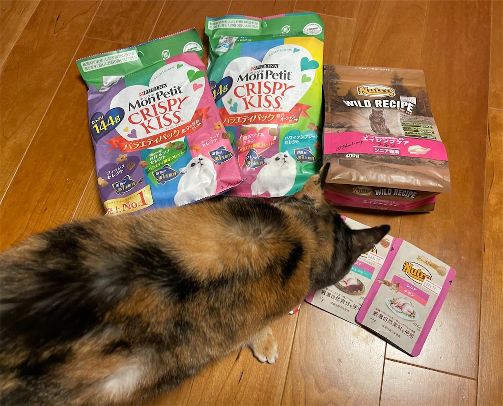 f:id:hiraryo0201:20231123155157j:image