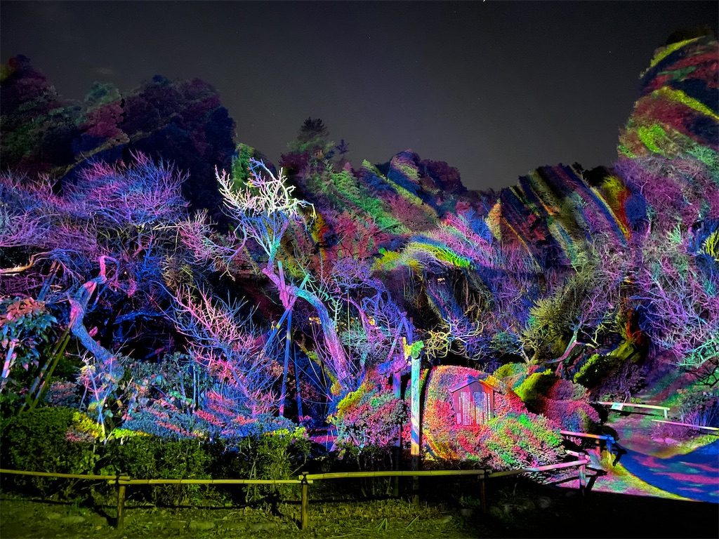 f:id:hiraryo0201:20231123212319j:image