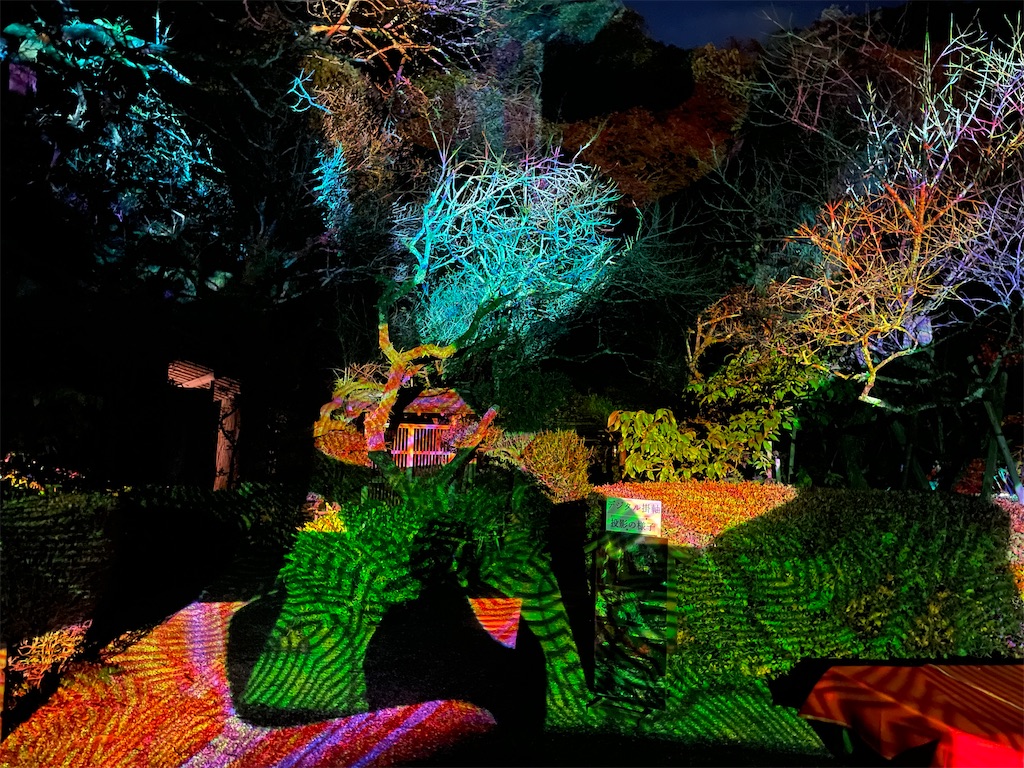 f:id:hiraryo0201:20231123212329j:image