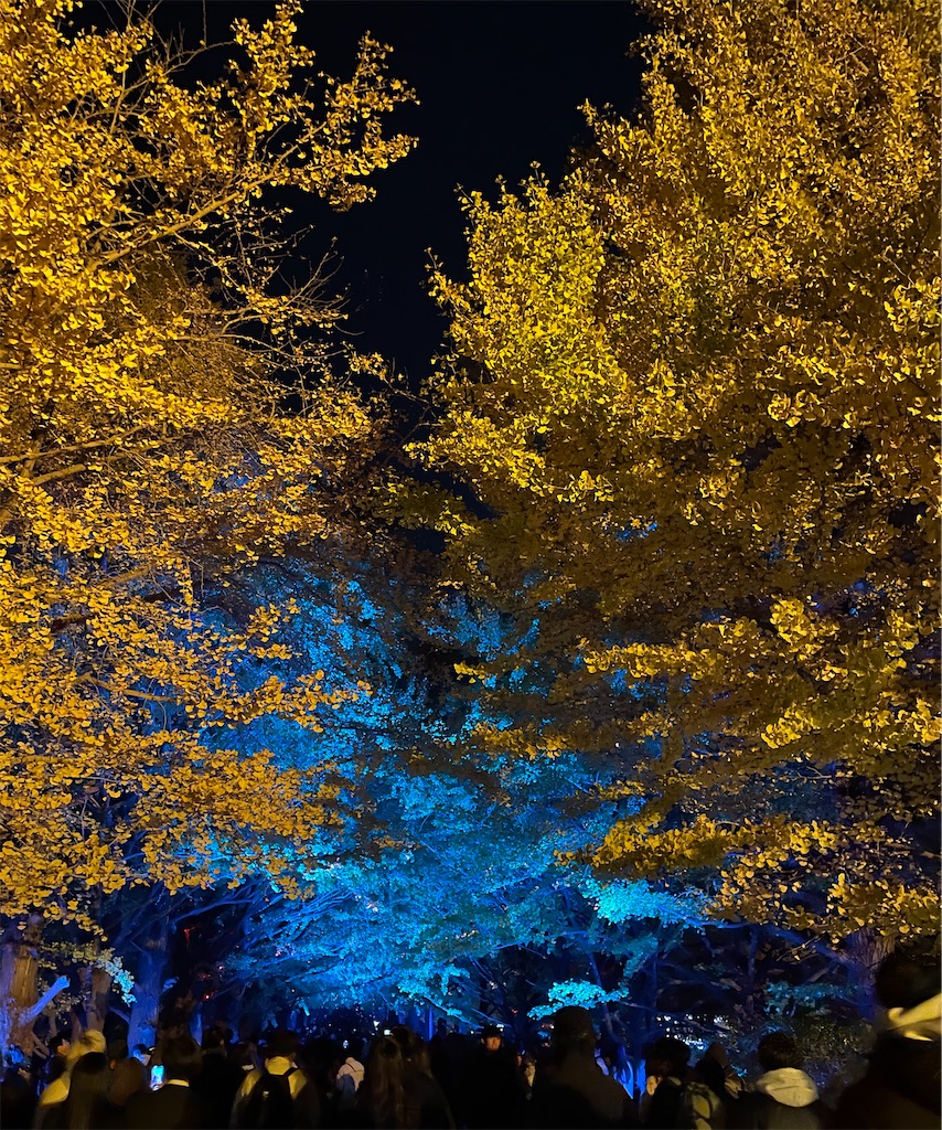 f:id:hiraryo0201:20231125204720j:image