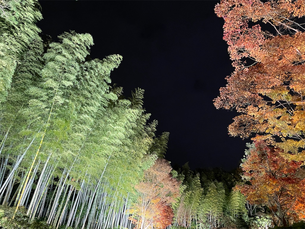 f:id:hiraryo0201:20231126094853j:image