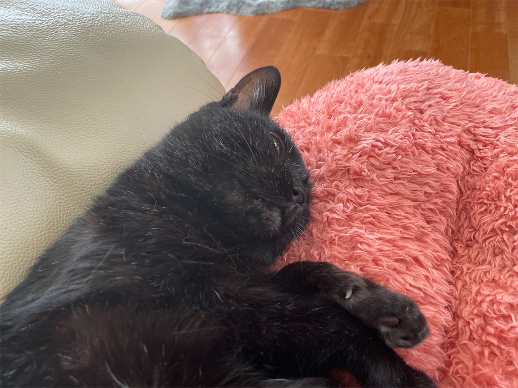 f:id:hiraryo0201:20231209215602j:image f:id:hiraryo0201:20231209215602j:image