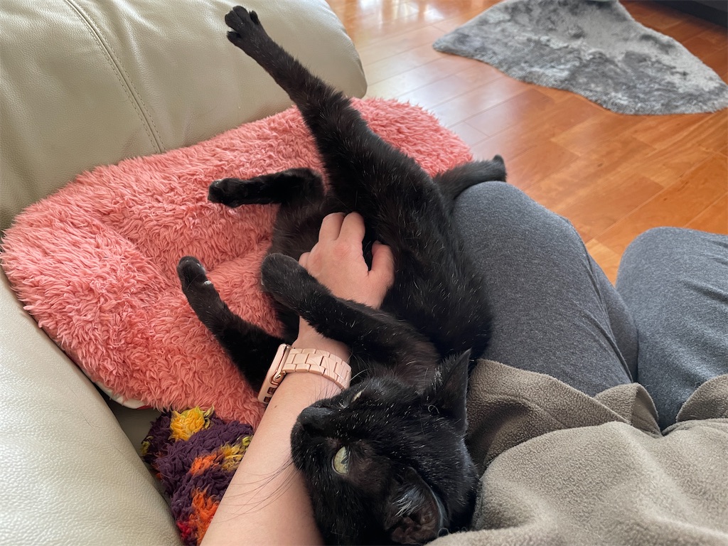 f:id:hiraryo0201:20231209215608j:image f:id:hiraryo0201:20231209215608j:image