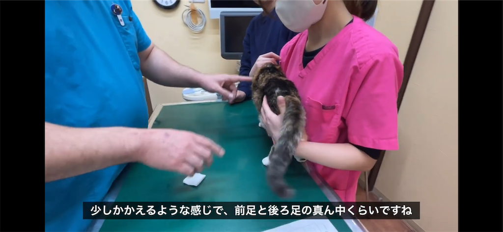 f:id:hiraryo0201:20231220122820p:image