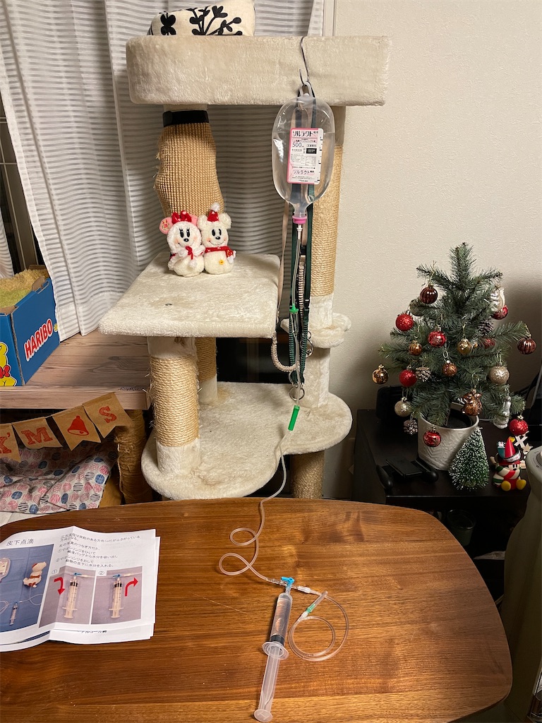 f:id:hiraryo0201:20231220124501j:image