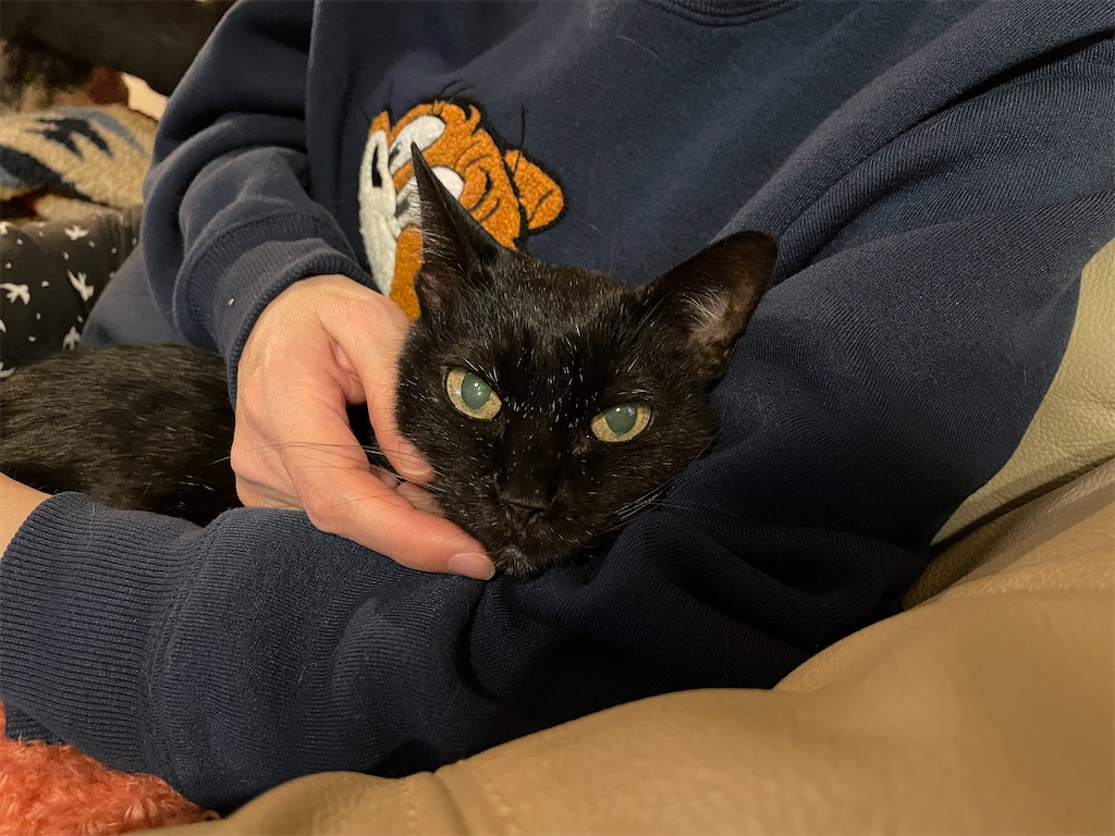 f:id:hiraryo0201:20231224034048j:image