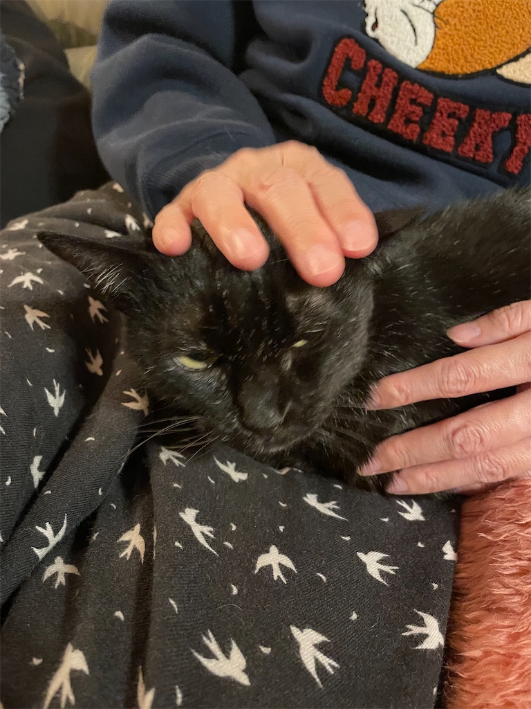 f:id:hiraryo0201:20231224140236j:image