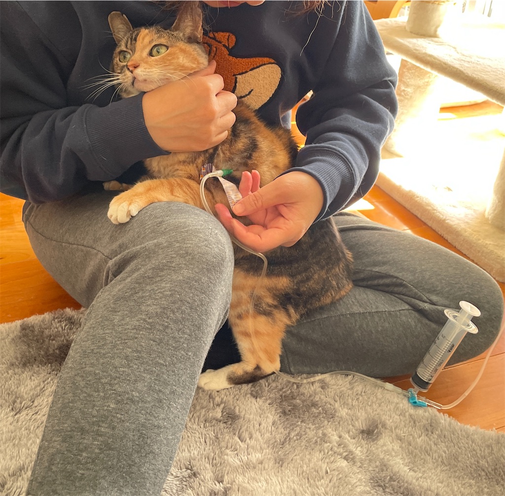 f:id:hiraryo0201:20240103171220j:image f:id:hiraryo0201:20240103171220j:image