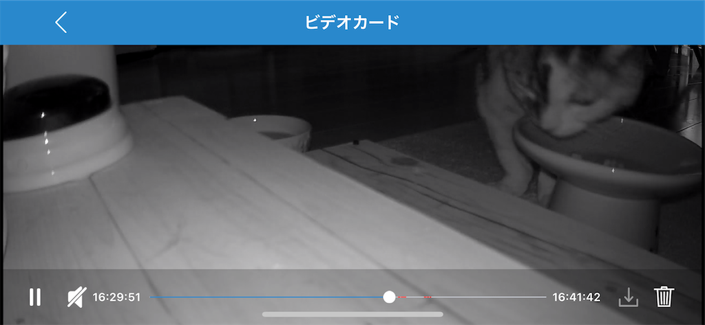 f:id:hiraryo0201:20240105132302p:image f:id:hiraryo0201:20240105132302p:image