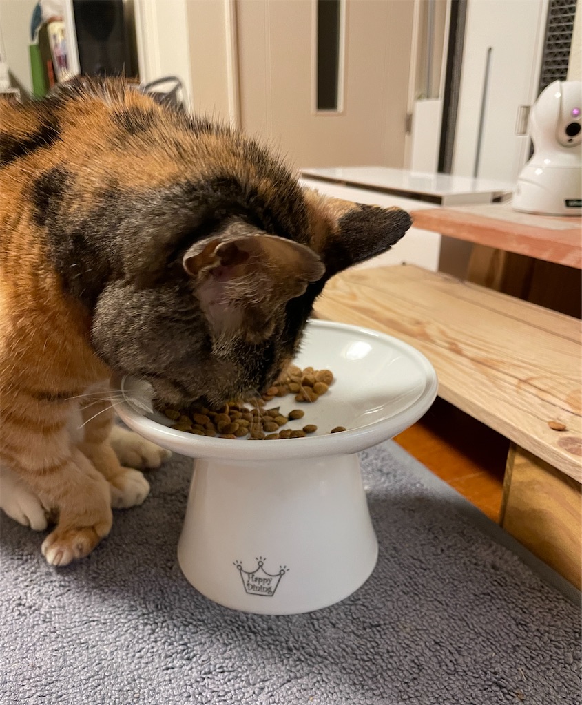 f:id:hiraryo0201:20240105132308j:image f:id:hiraryo0201:20240105132308j:image