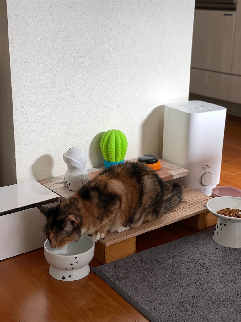 f:id:hiraryo0201:20240105164407j:image f:id:hiraryo0201:20240105164407j:image