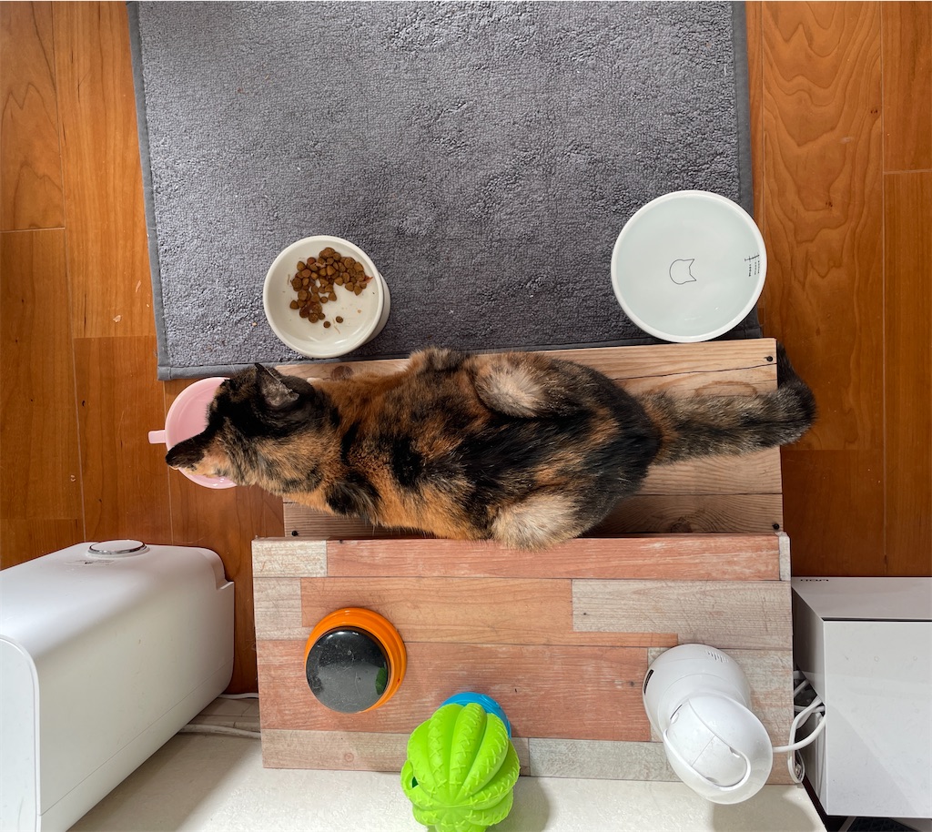 f:id:hiraryo0201:20240106120741j:image f:id:hiraryo0201:20240106120741j:image