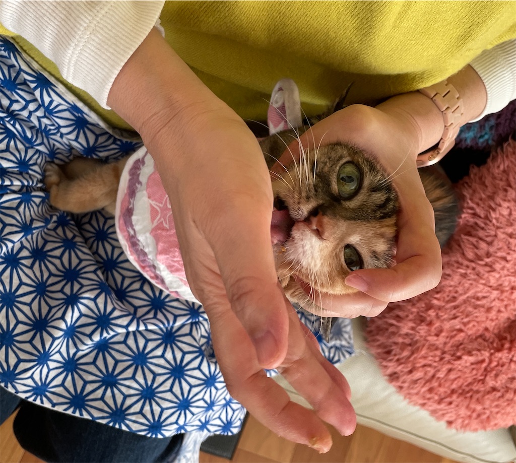 f:id:hiraryo0201:20240108155111j:image f:id:hiraryo0201:20240108155111j:image