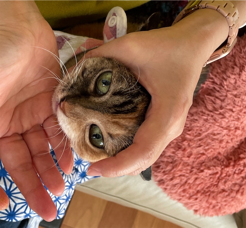 f:id:hiraryo0201:20240108155117j:image f:id:hiraryo0201:20240108155117j:image