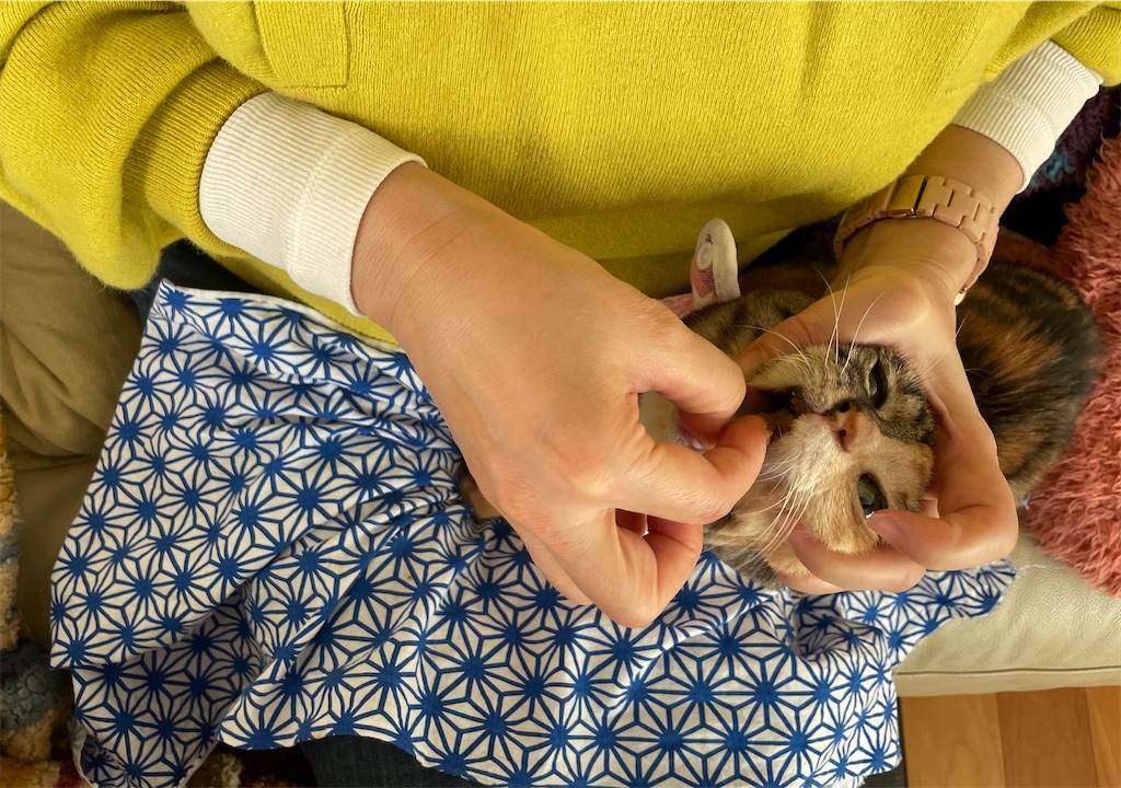 f:id:hiraryo0201:20240108155120j:image f:id:hiraryo0201:20240108155120j:image