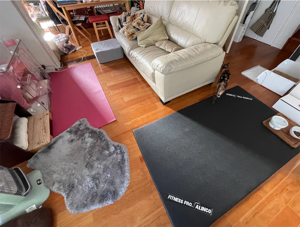 f:id:hiraryo0201:20240210102027j:image f:id:hiraryo0201:20240210102027j:image