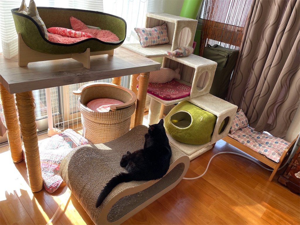 f:id:hiraryo0201:20240210102030j:image f:id:hiraryo0201:20240210102030j:image