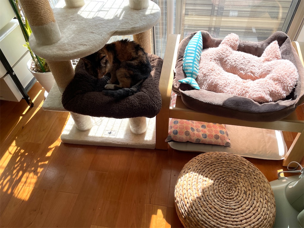 f:id:hiraryo0201:20240210102037j:image f:id:hiraryo0201:20240210102037j:image