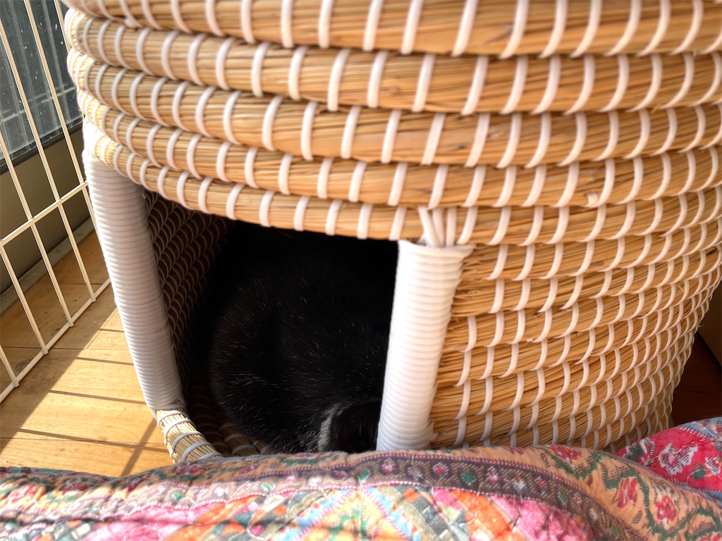 f:id:hiraryo0201:20240210102121j:image f:id:hiraryo0201:20240210102121j:image