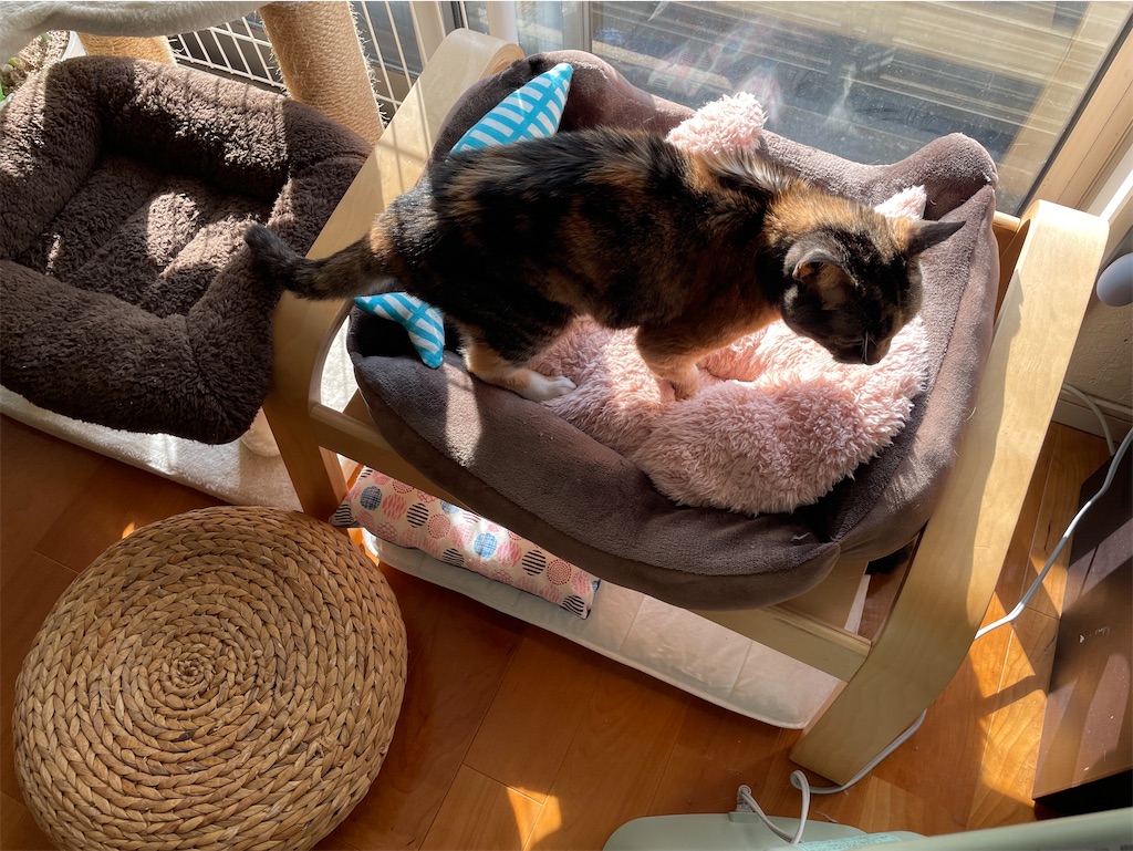 f:id:hiraryo0201:20240210102204j:image f:id:hiraryo0201:20240210102204j:image