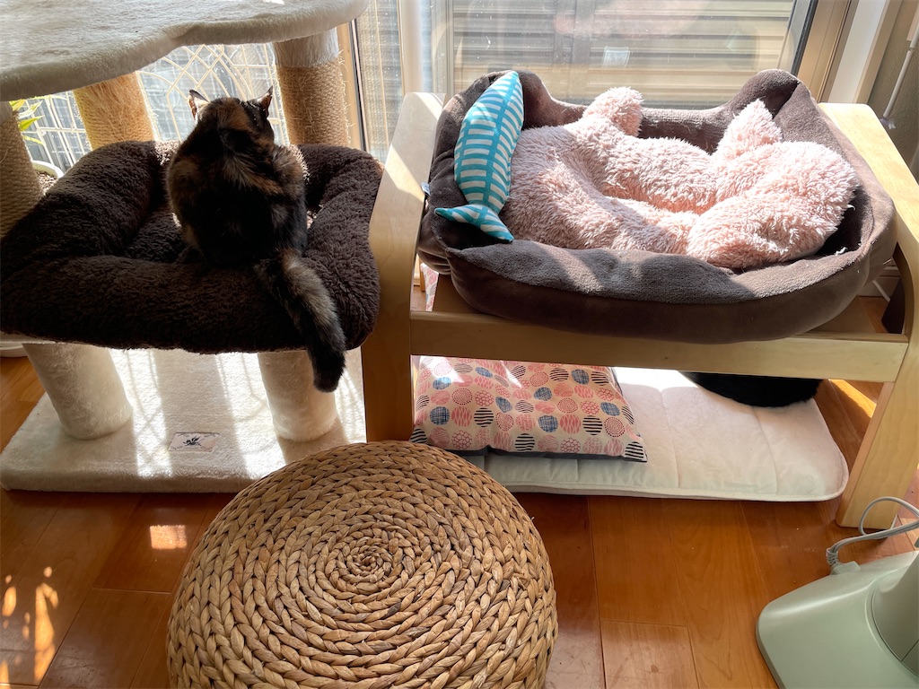 f:id:hiraryo0201:20240210102210j:image f:id:hiraryo0201:20240210102210j:image