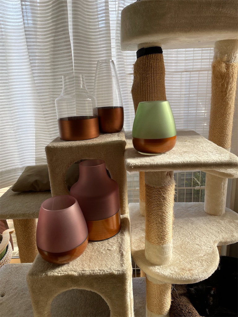 f:id:hiraryo0201:20240316095218j:image f:id:hiraryo0201:20240316095218j:image