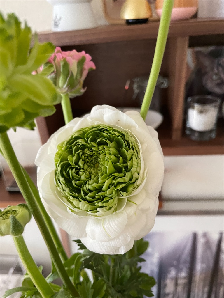 f:id:hiraryo0201:20240316100110j:image f:id:hiraryo0201:20240316100110j:image