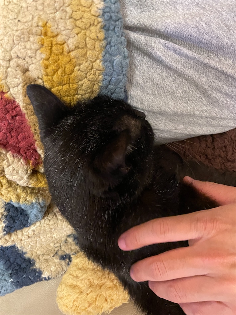 f:id:hiraryo0201:20240511213331j:image