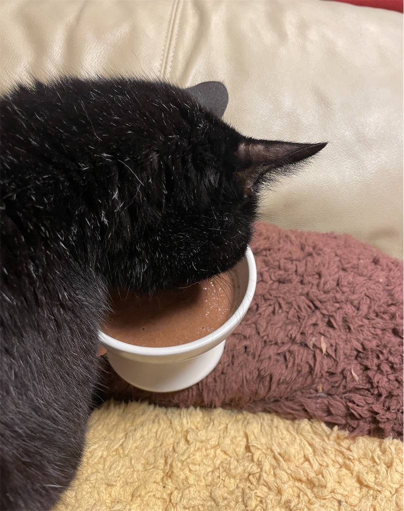 f:id:hiraryo0201:20240512150144j:image