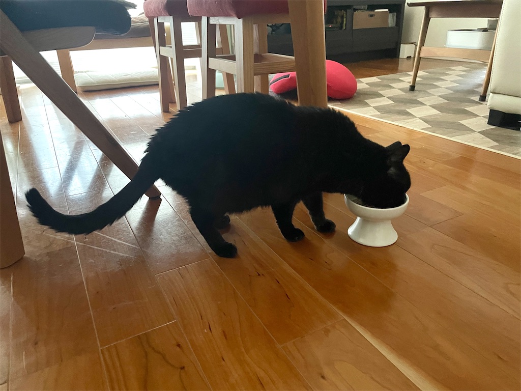 f:id:hiraryo0201:20240512150147j:image