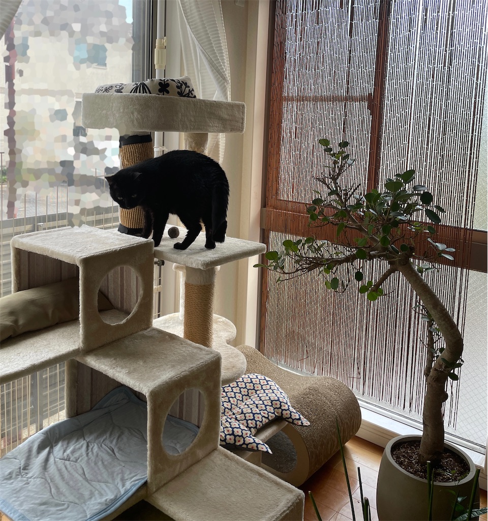 f:id:hiraryo0201:20240615095855j:image